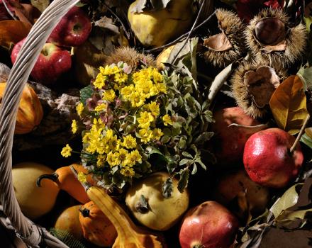 Scopri i piatti tipici della tradizione culinaria romanesca grazie alla convenzione del Best Western Hotel Piccadilly con il Ristorante Da Roberto e Loretta.